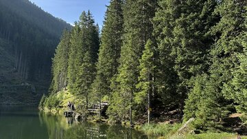 A festively set table by the shore of a clear lake, surrounded by tall fir trees. In the background, gentle hills rise under a radiant blue sky.