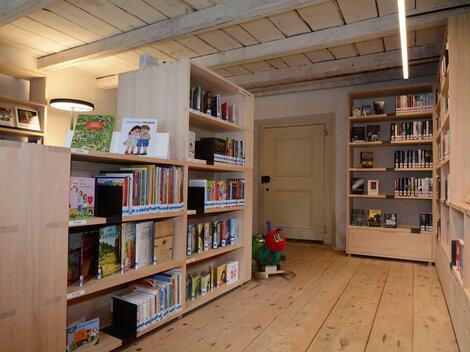 A bright room with wooden shelves containing many books. In one corner, there is a toy, and the light is pleasant.