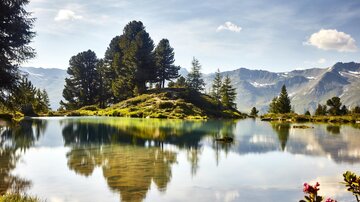 Berglisee 2