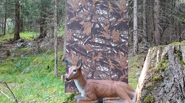 Ein Hirsch aus Kunststoff liegt vor einer camouflage-farbenen Wand in einem Wald. Die Umgebung besteht aus grünen Pflanzen und Bäumen.