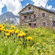 Eine malerische Berghütte aus Stein mit bunten Fensterläden. Der Garten ist mit gelben Blumen und einer beeindruckenden Bergkulisse umgeben.