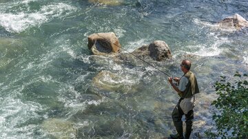 A fisherman stands on the shore of a clear river and is fishing. Gentle waves flow around him, and large stones are visible in the water.