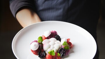 A beautiful plate with fresh berries and creamy dollops. The dish is attractively arranged and presented by a person.