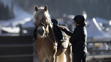 A person stands next to a horse in a horse stable. In the background, mountains and a winter landscape can be seen.
