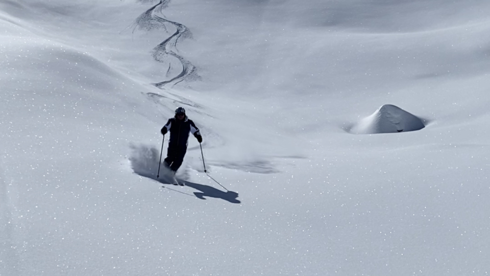 Alpin Guide Silvretta 1