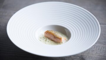 Ein elegantes Gericht auf einem weißen Teller. Es zeigt ein Stück Lachs in einer cremigen Sauce.