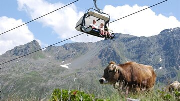 A mountain landscape with a cable car, in which two people are sitting. In the foreground, a cow is grazing on a meadow.